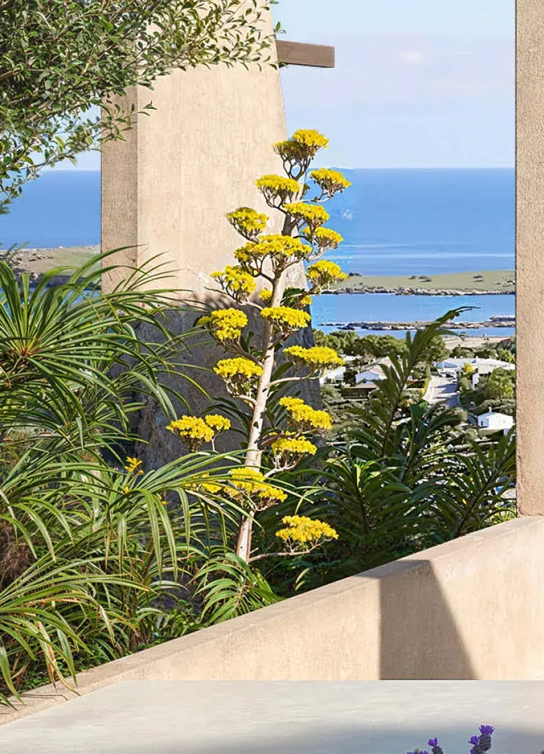 Betongitter und Steinmauer mit mediterraner Bepflanzung